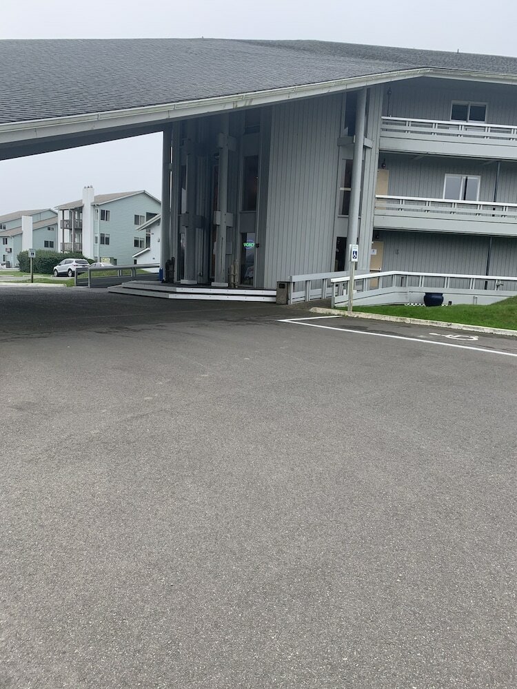 Фото The Grey Gull