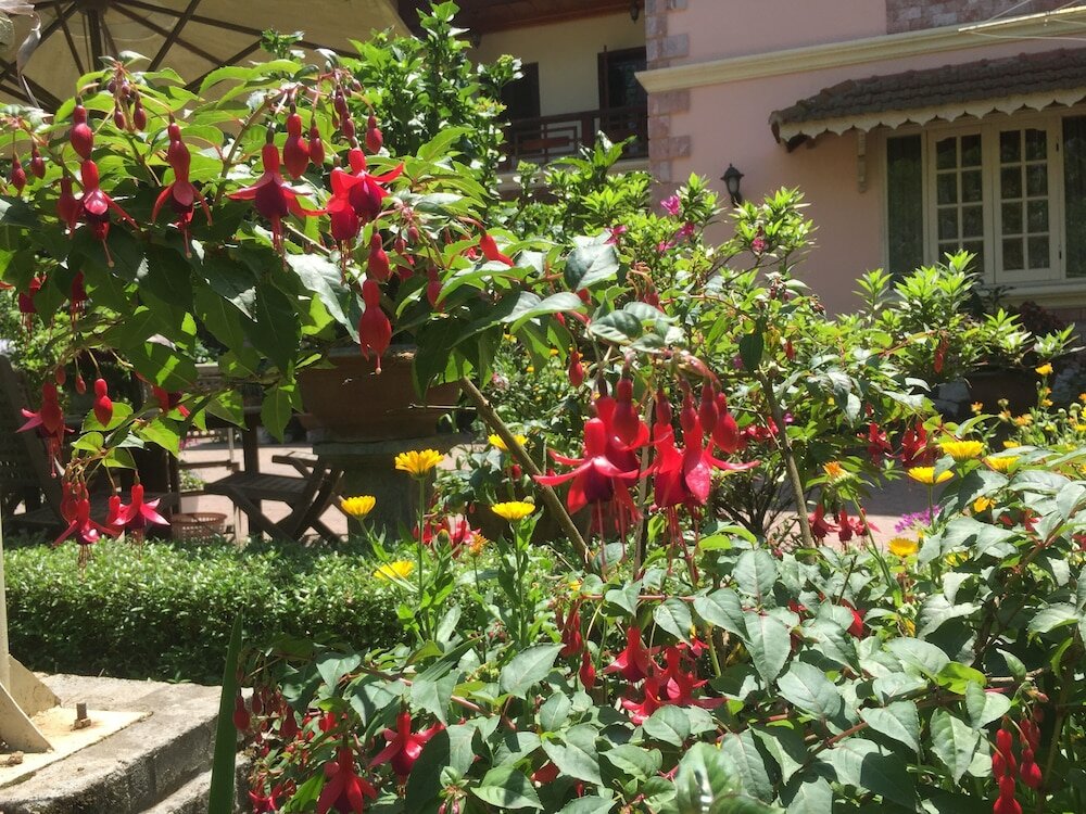 Фото Гостевой Дом Sapa Garden