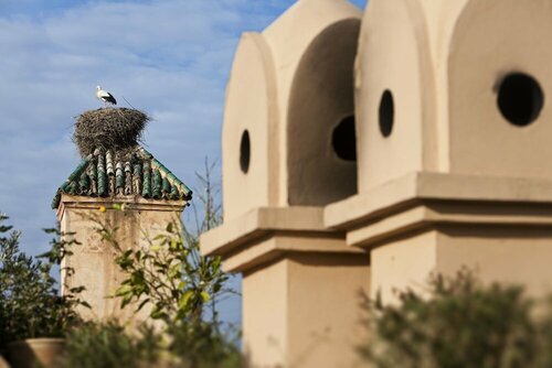 Внешний вид отеля Dar Les Cigognes в Марракеше, фото 4