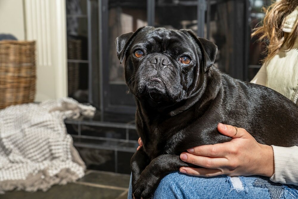 Фото Carter House Inns