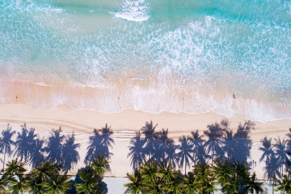 Фото Casa Del M Resort