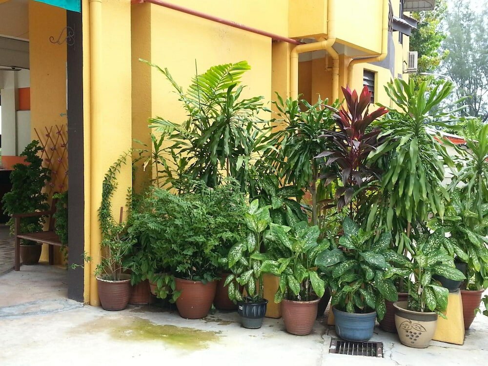 Фото GoodHope Hotel Kelawei Penang