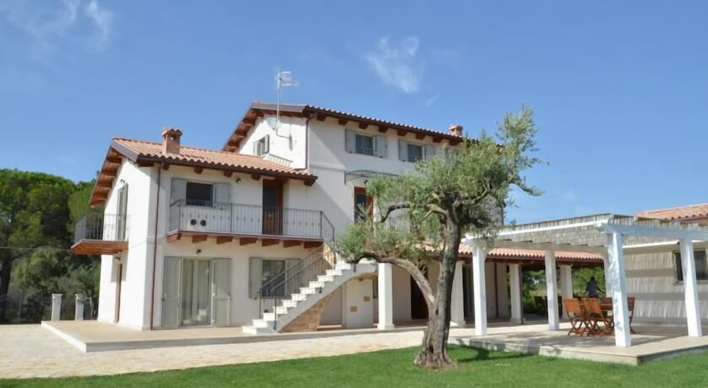 Фото Agriturismo Casale degli Ulivi