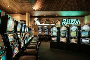 Гостиница Safari Park Hotel And Casino