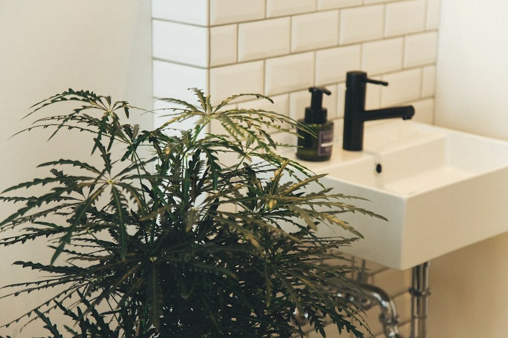 Фото Hotel Noum Osaka