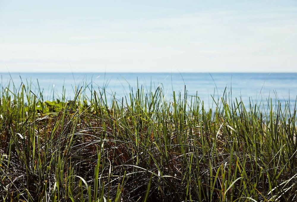 Фото Marram