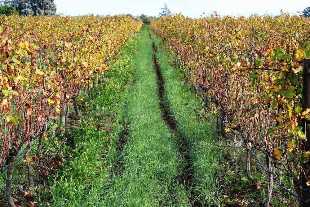 Фото Klein Welmoed Luxury Guest House