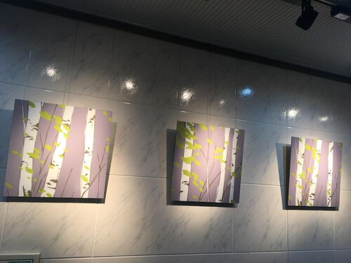 Гостиница Chitose Daiichi Hotel в Титосэ