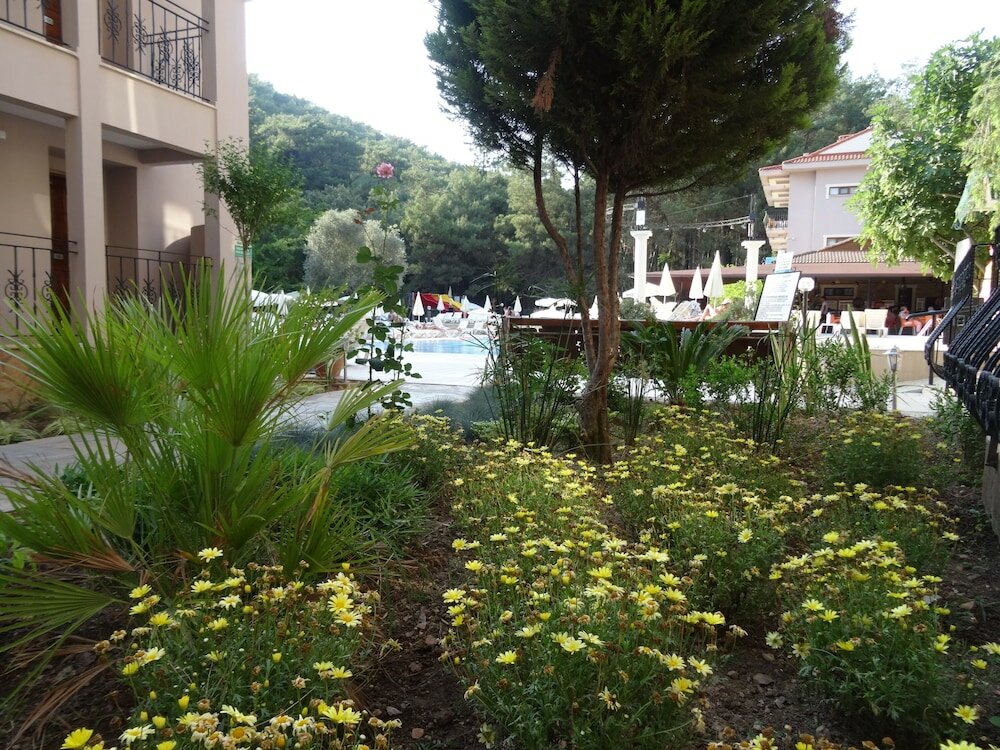 Фото Hotel Pine Valley