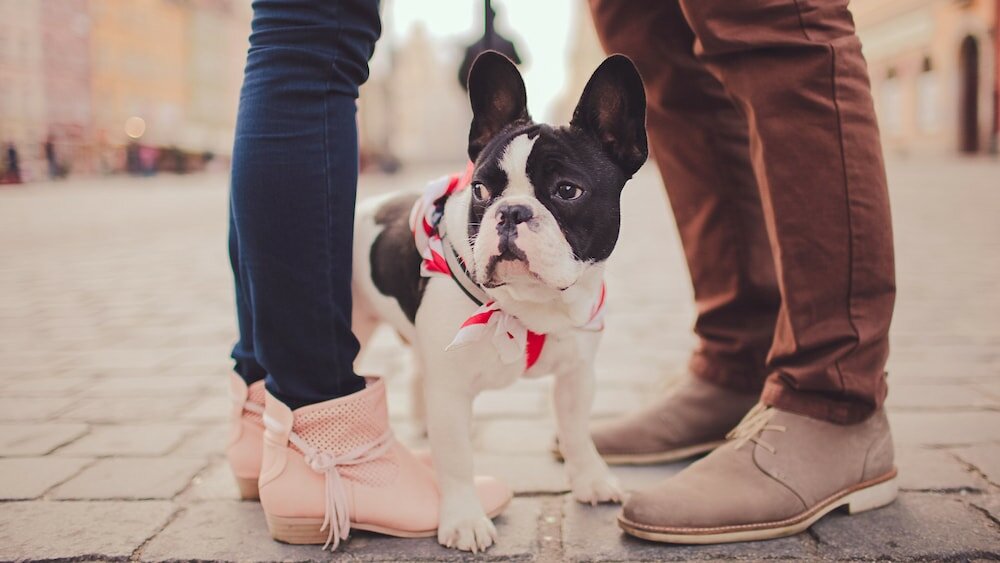 Фото Hotel Indigo Cleveland-Beachwood, an Ihg Hotel