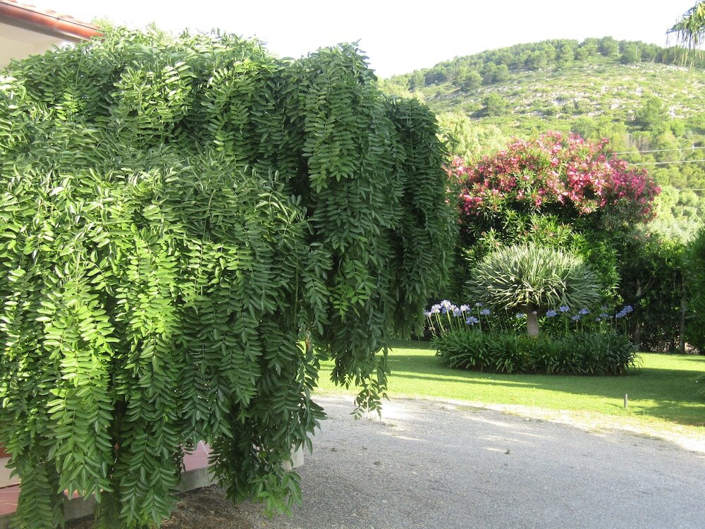 Фото Arenosu a pochi Km dalle spiagge