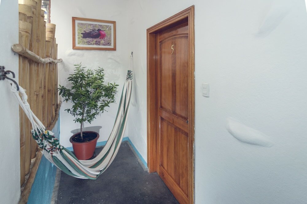 Фото Galapagos Native