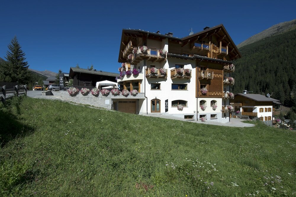 Фото Hotel Vedig