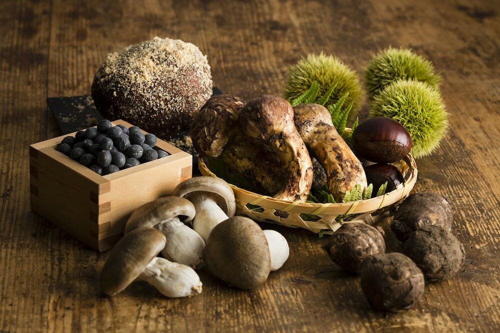 Фото Nipponia Sasayama Castle Town Hotel