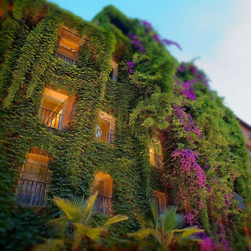 Фото Bio Hotel Raphaël