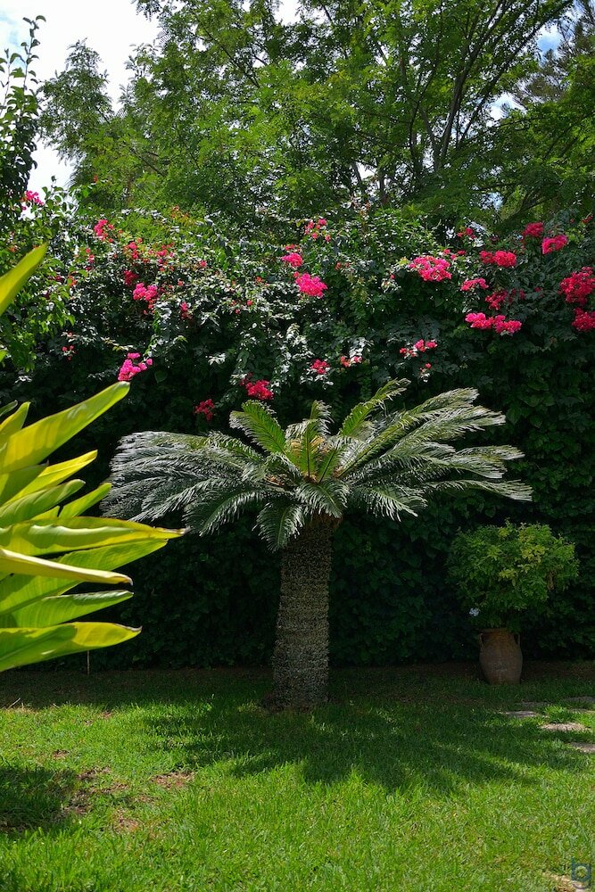 Фото Mondello Resort