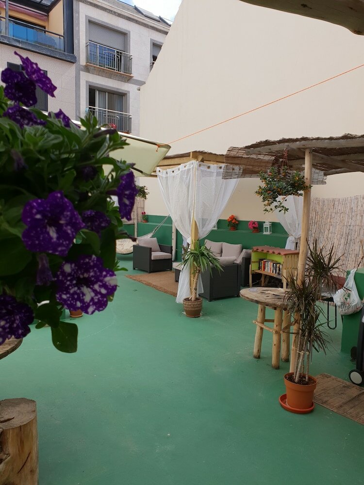 Фото Cactus Host