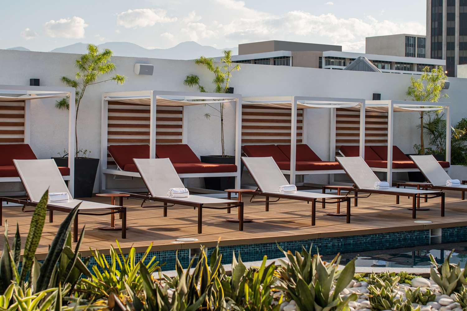 Фото Rok Hotel Kingston Tapestry Collection by Hilton