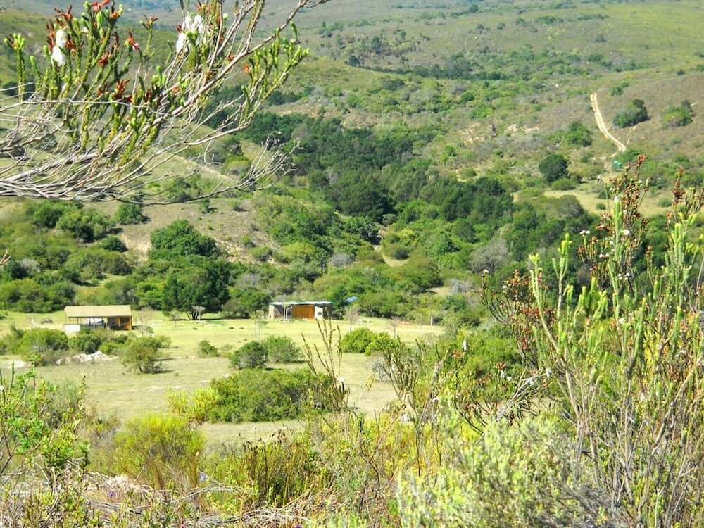 Фото Pabala Game Farm