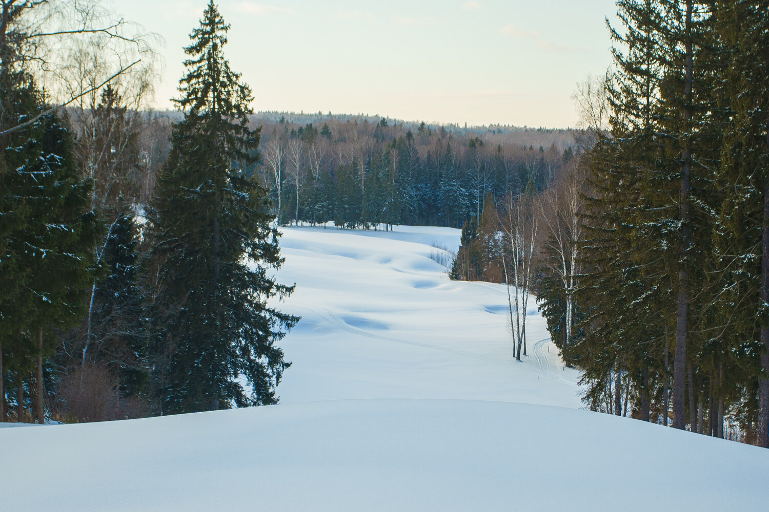 Фото Форест Хиллс