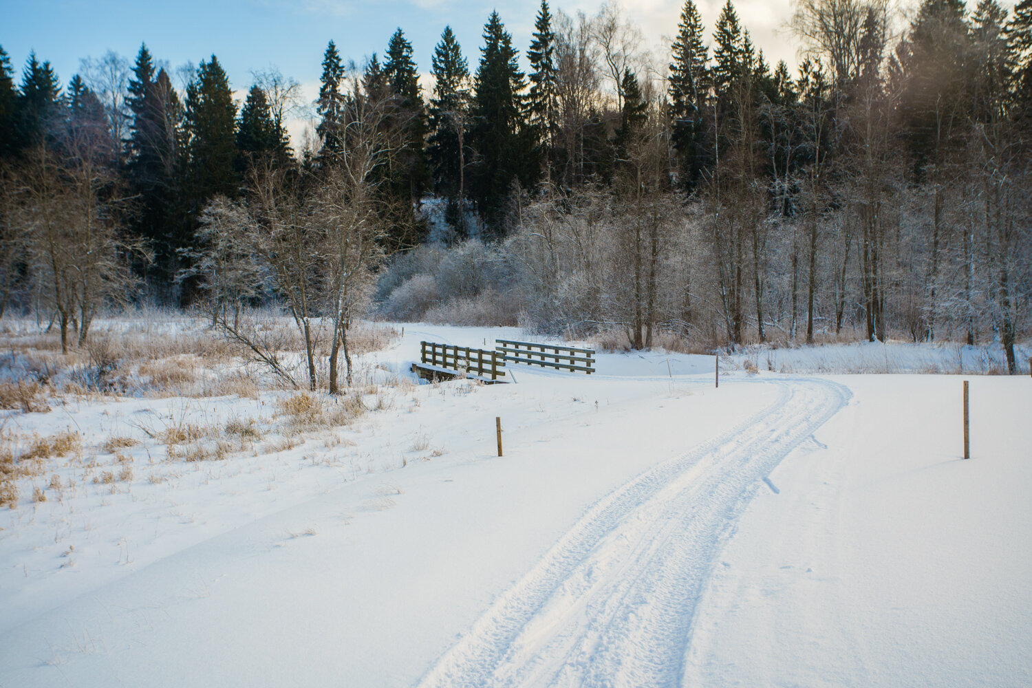 Фото Форест Хиллс