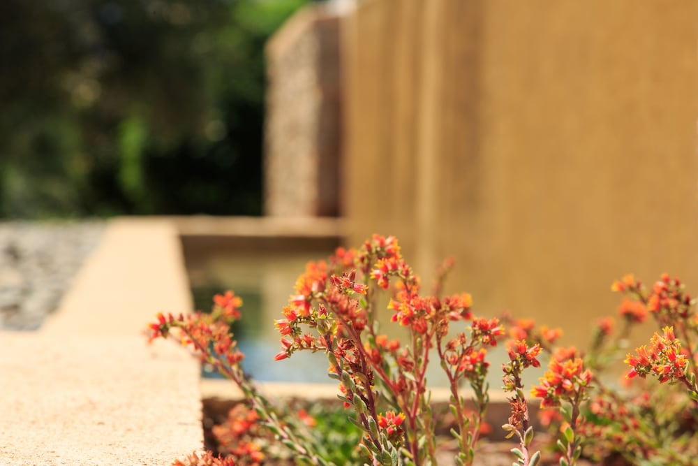 Фото 180 South Seaside Hotel