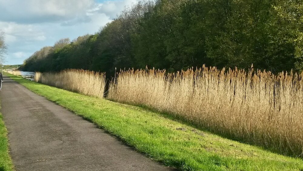Фото Hotel Den Helder