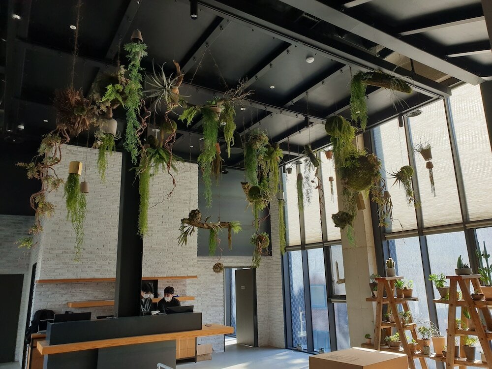 Фото Junibino Hotel Hongdae