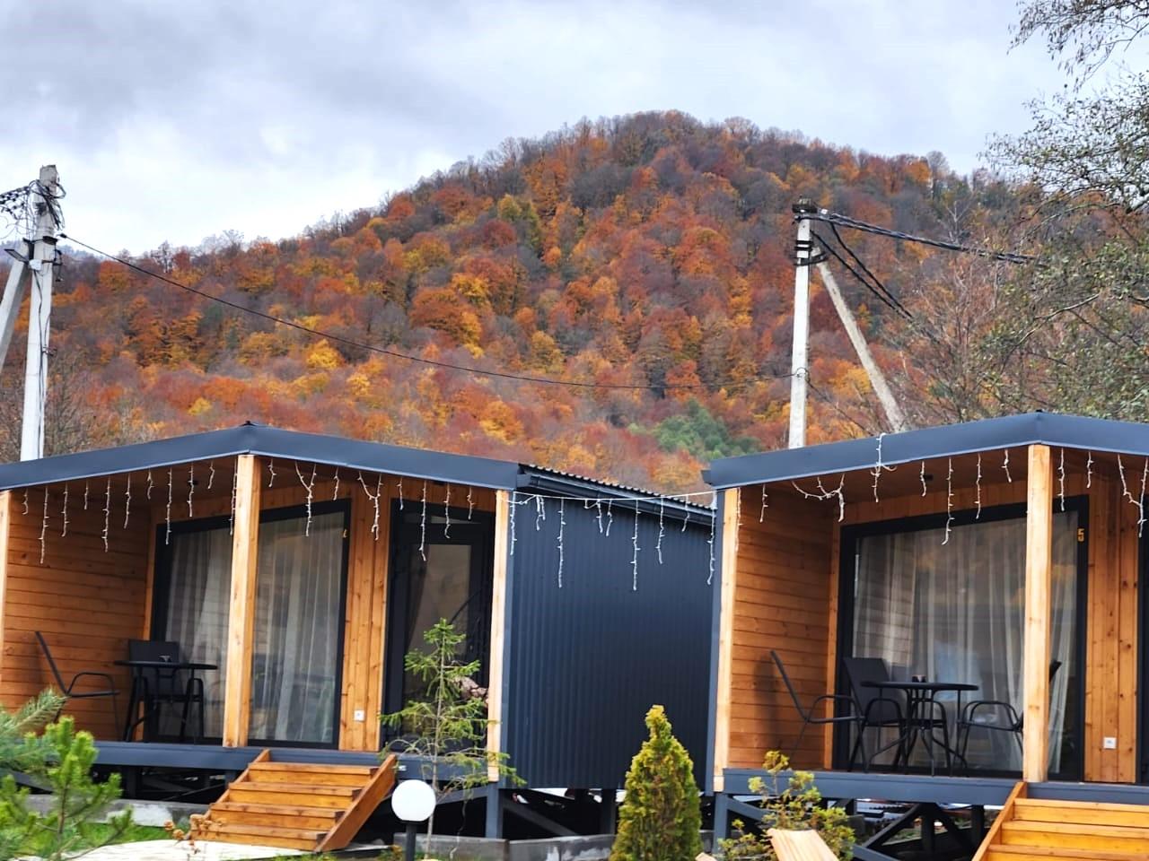 Фото Василиса Хаус