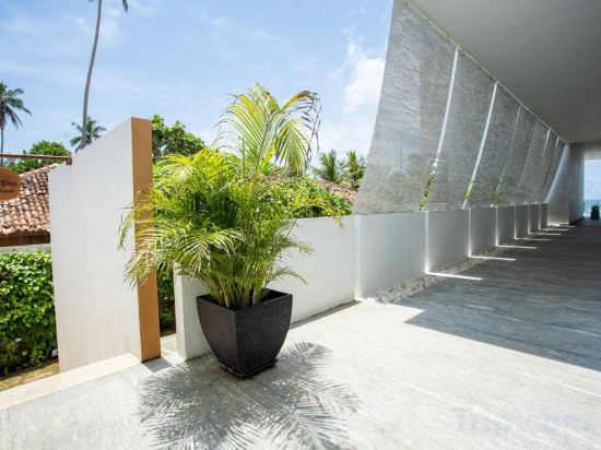 Фото Sielen Diva