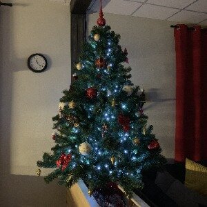 Фото Гуд Найт Румс энд Хостел