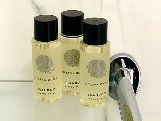 Фото Britannia Inn Hotel