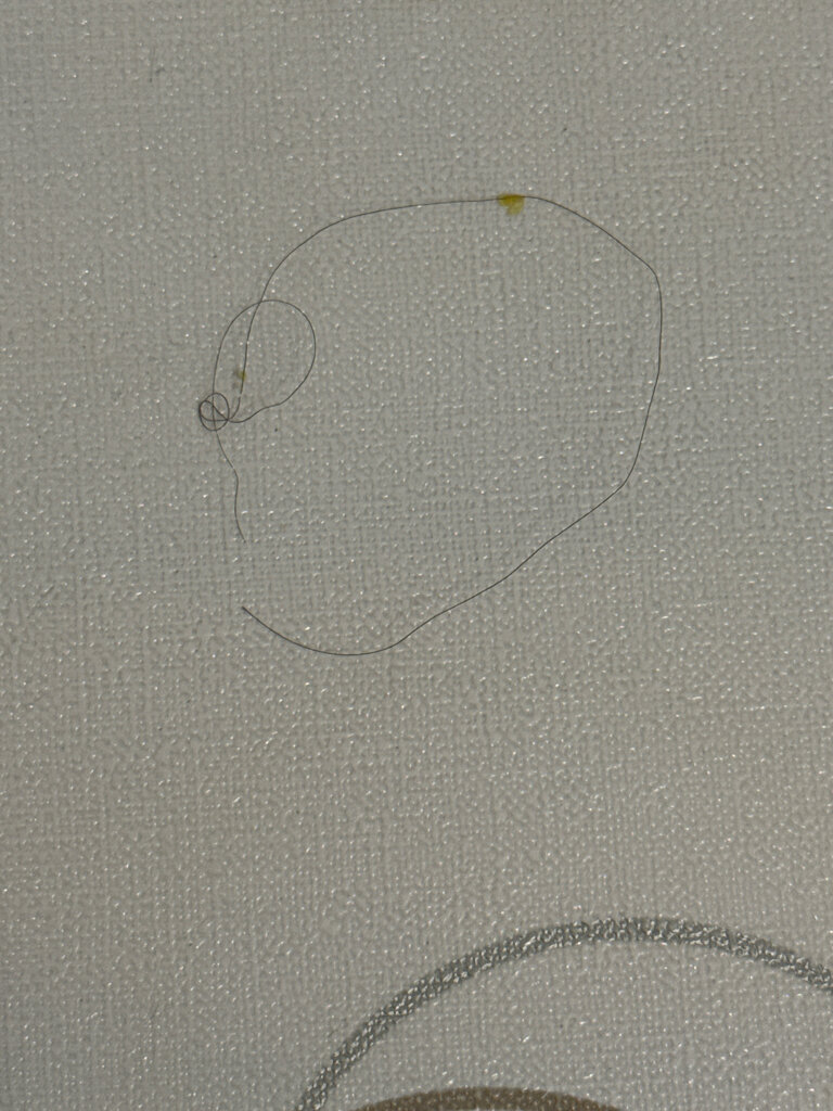 Supermarket Pyatyorochka, Mytischi, photo