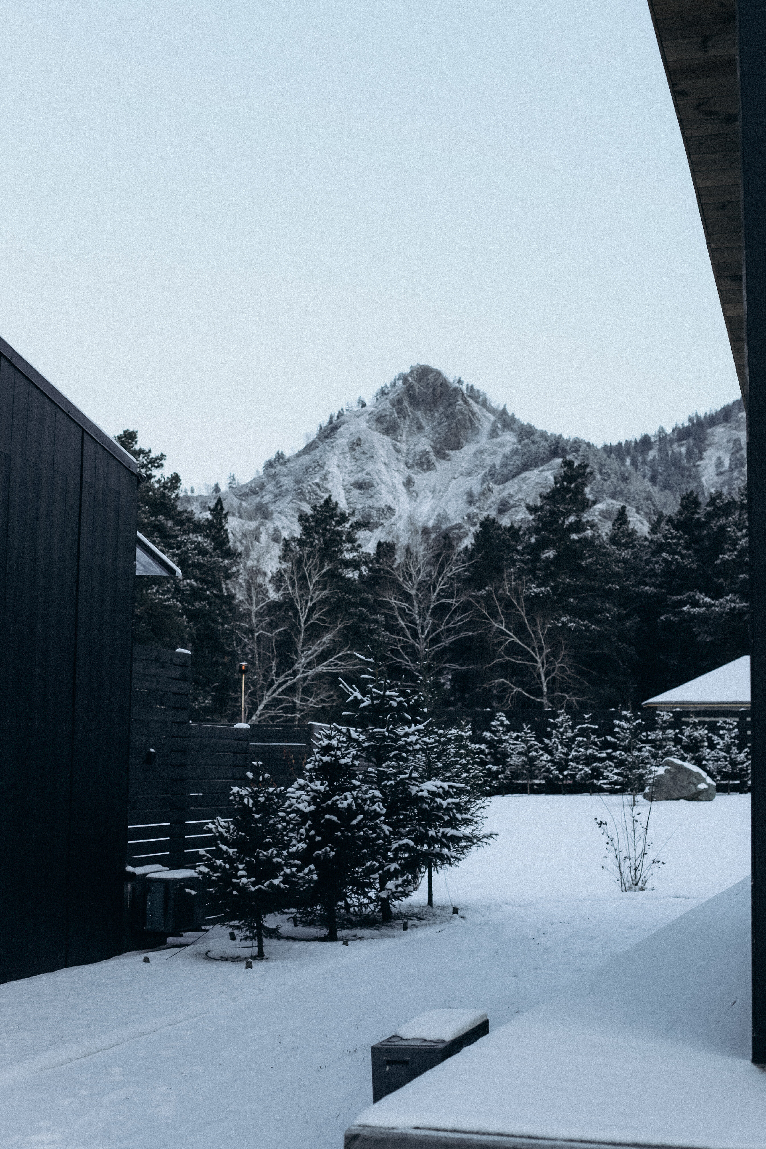 Фото Альпака