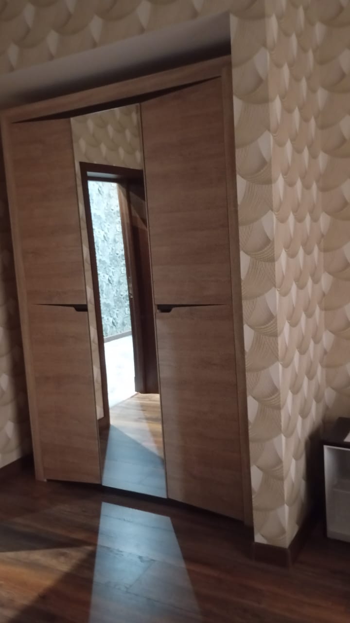 Фото Метелица