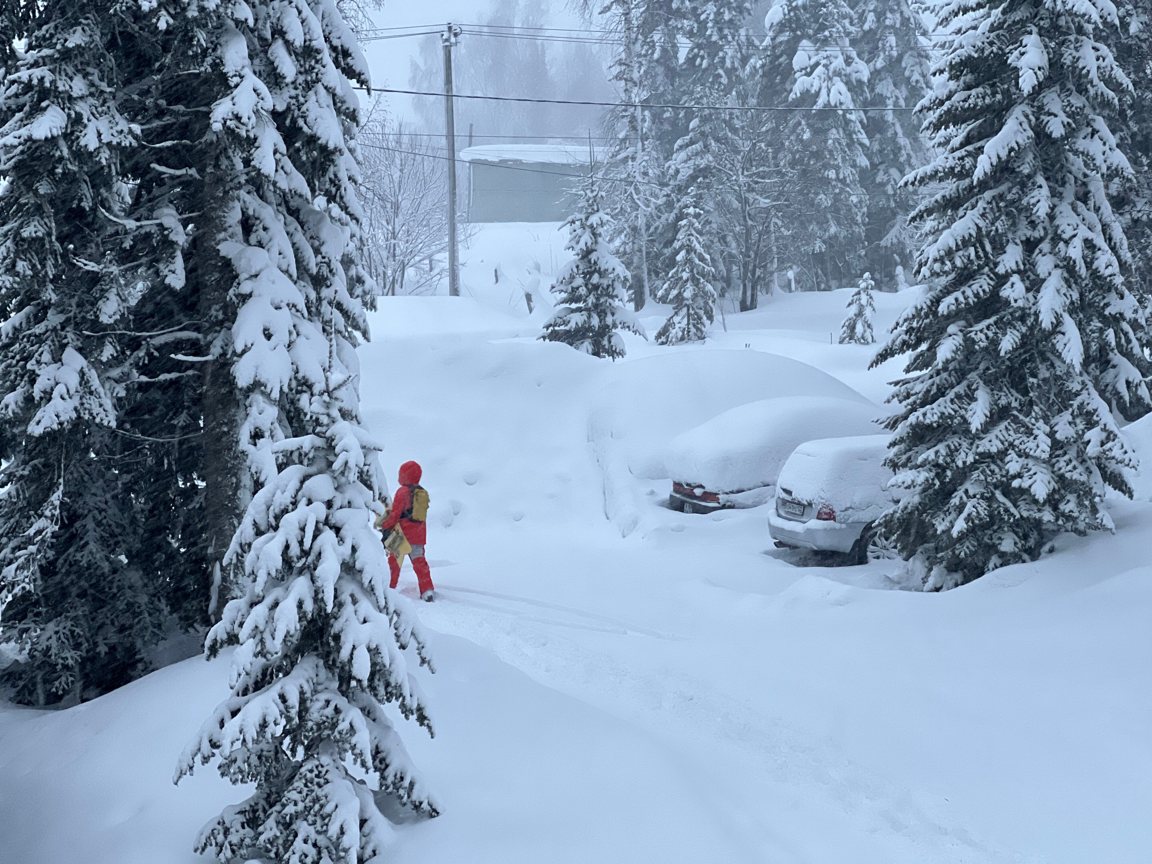 Фото Заповедный лес