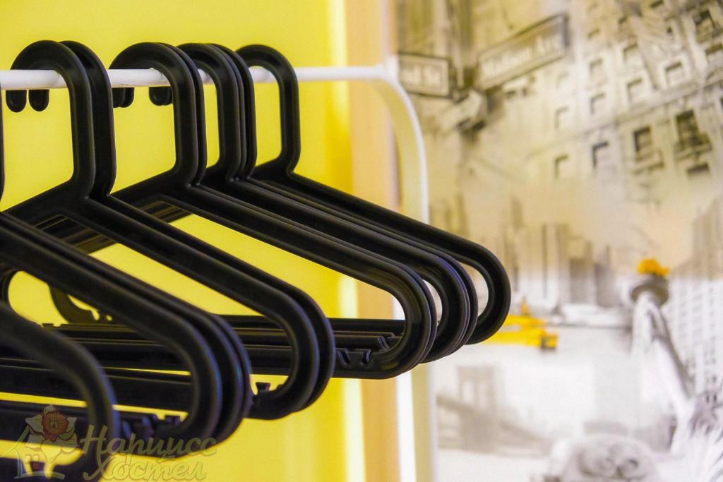 Фото Нарцисс