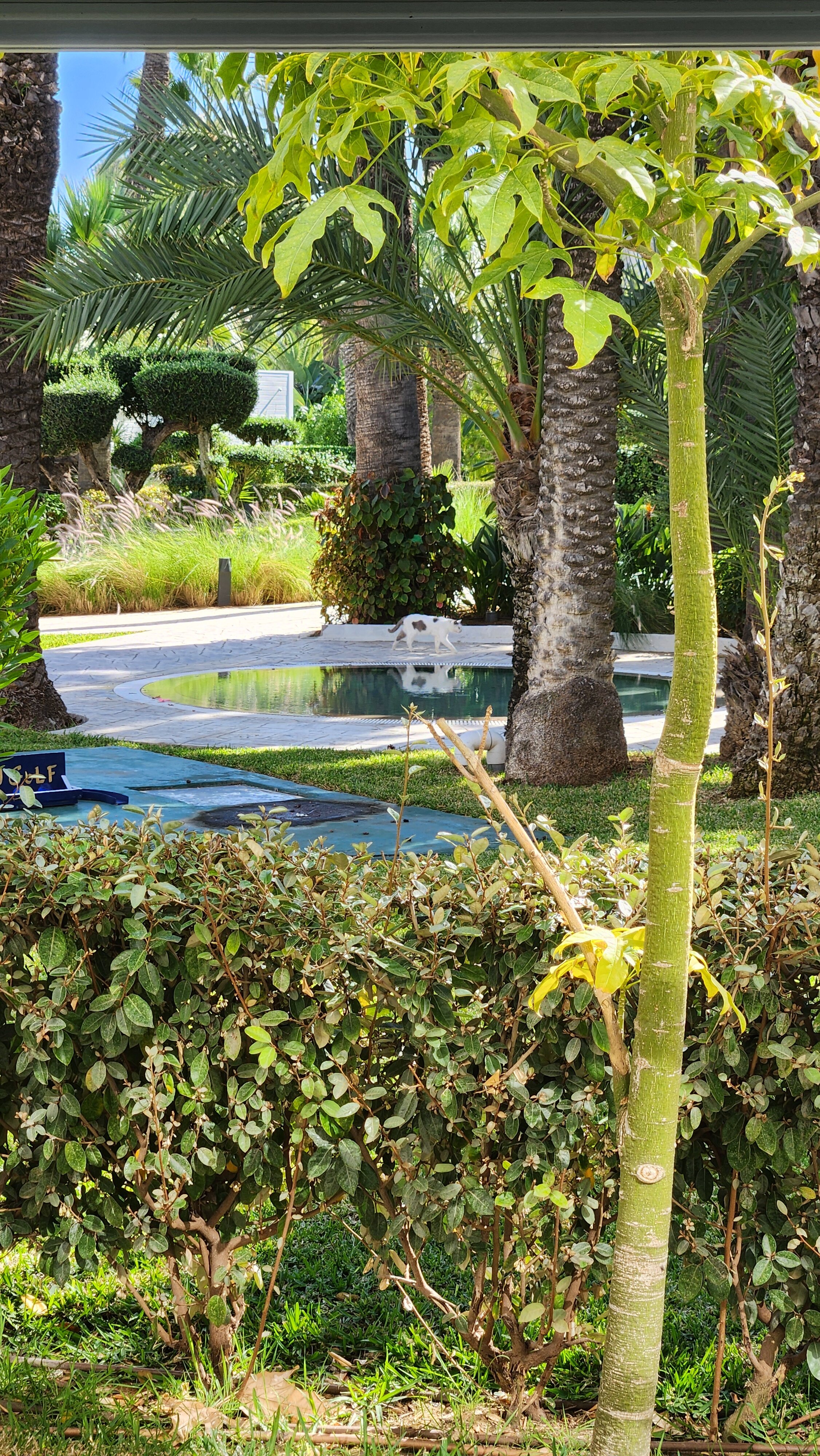 Фото Marhaba Club