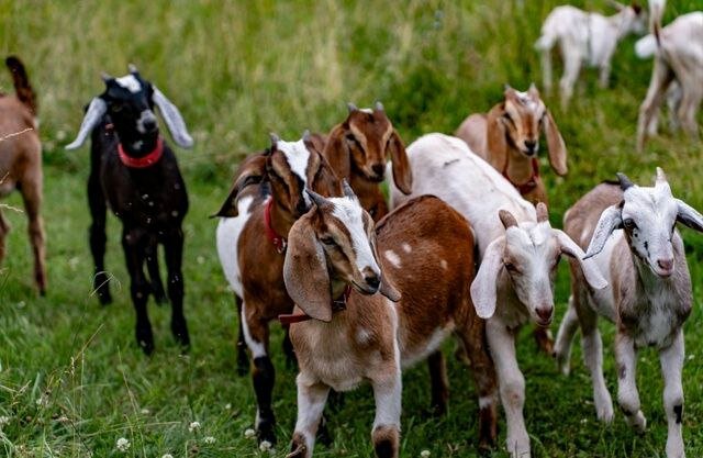 Фото Забота