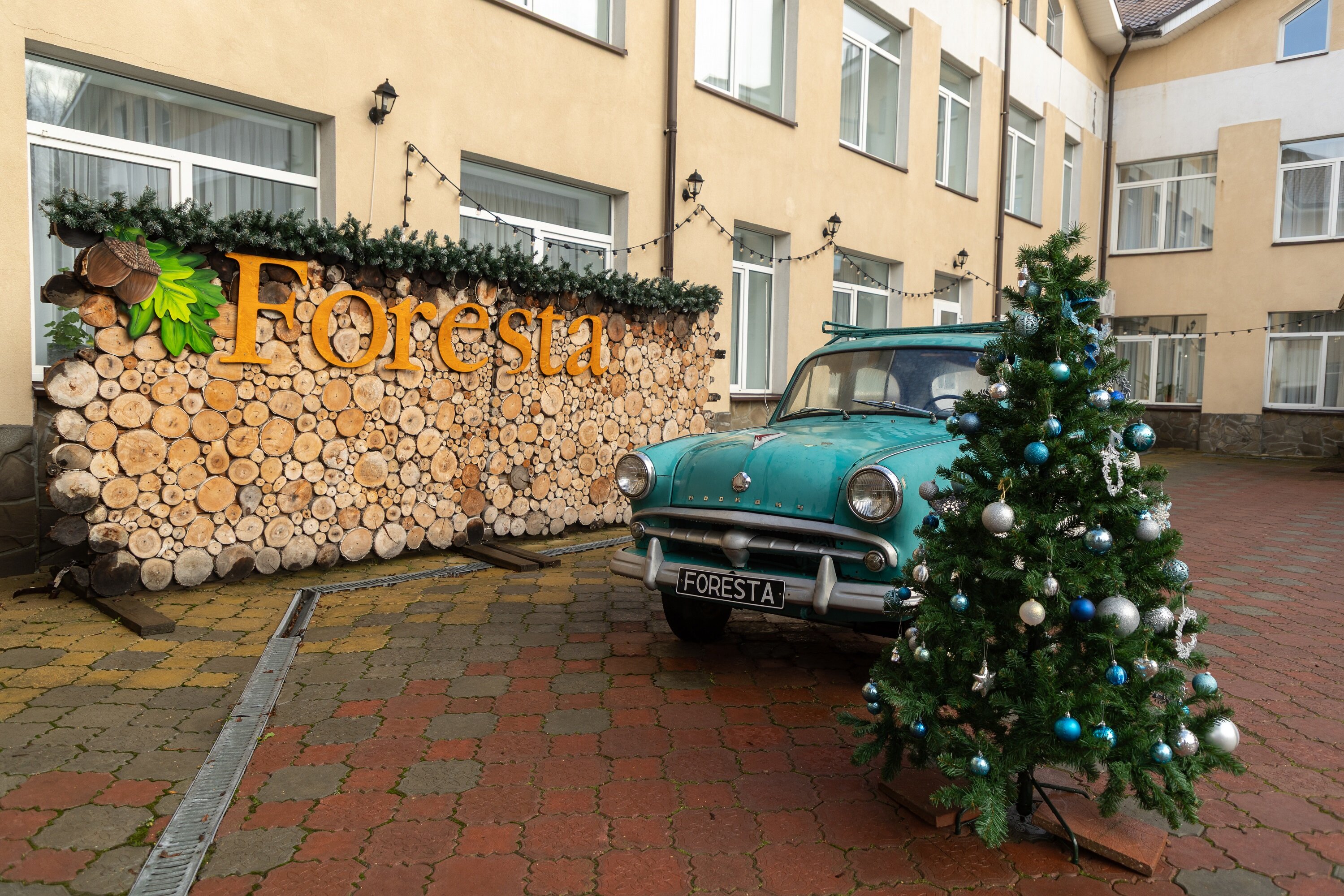 Фото Фореста Фестиваль Парк