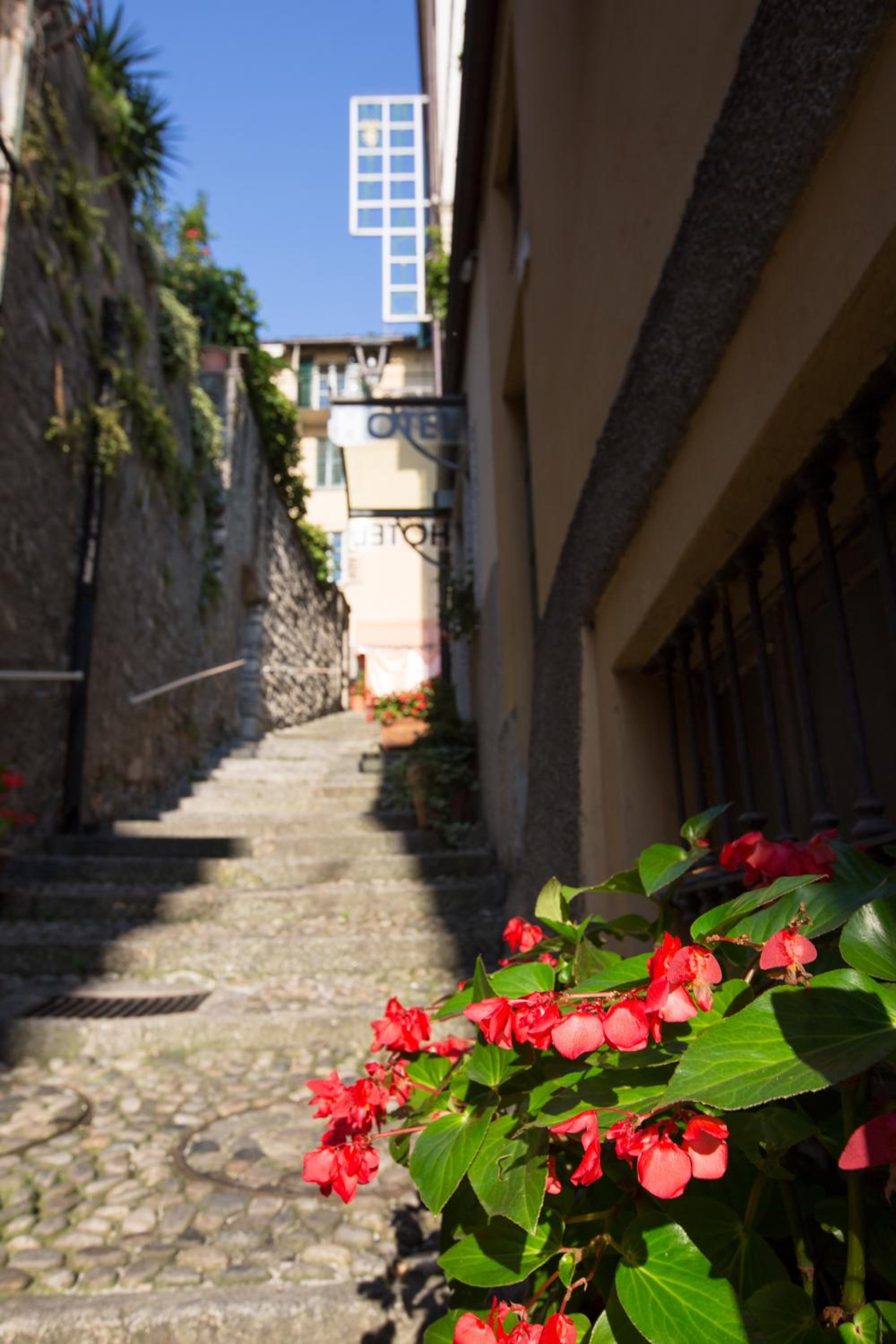 Фото Hotel Bellagio