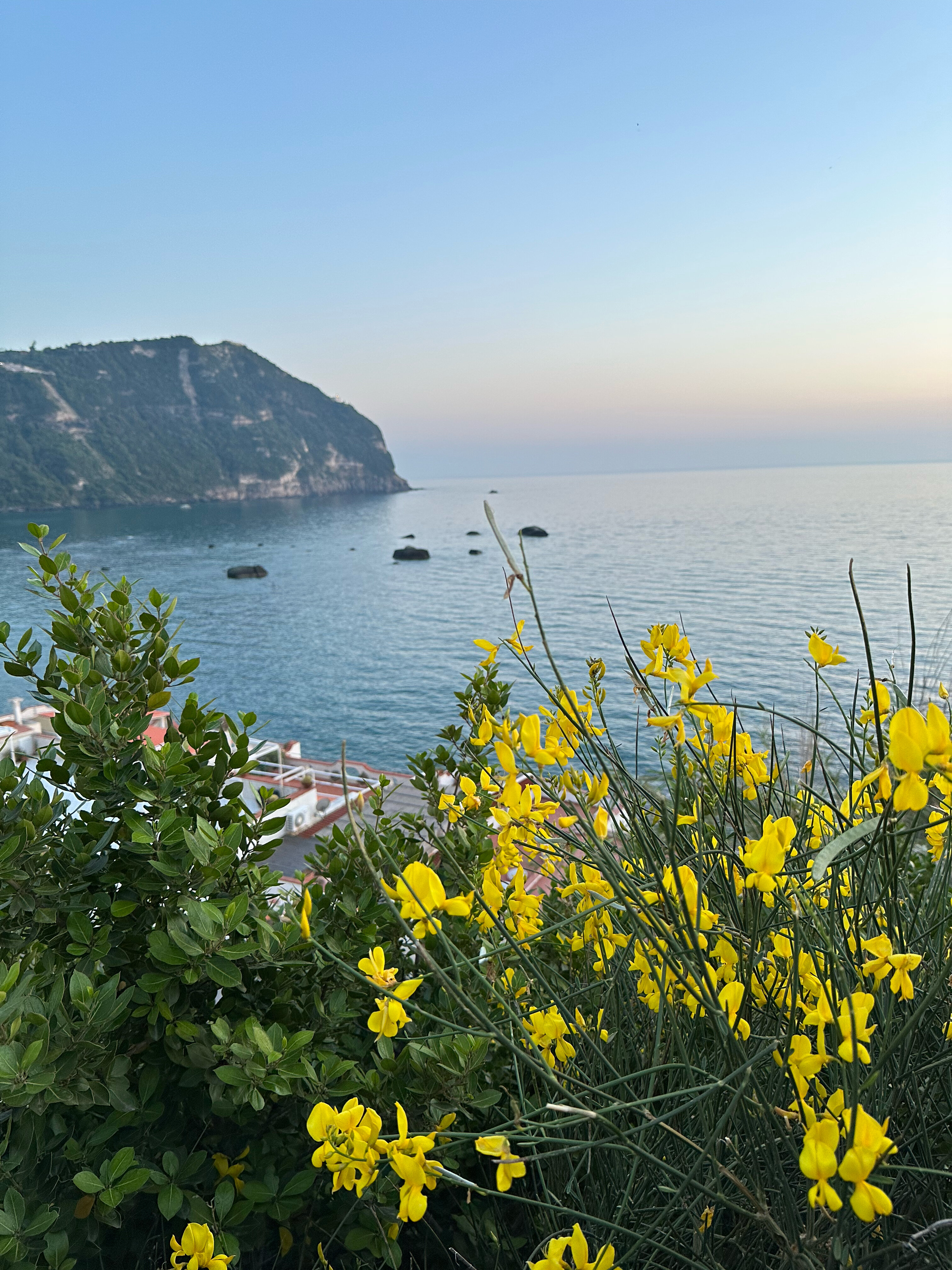 Фото Hotel San Michele