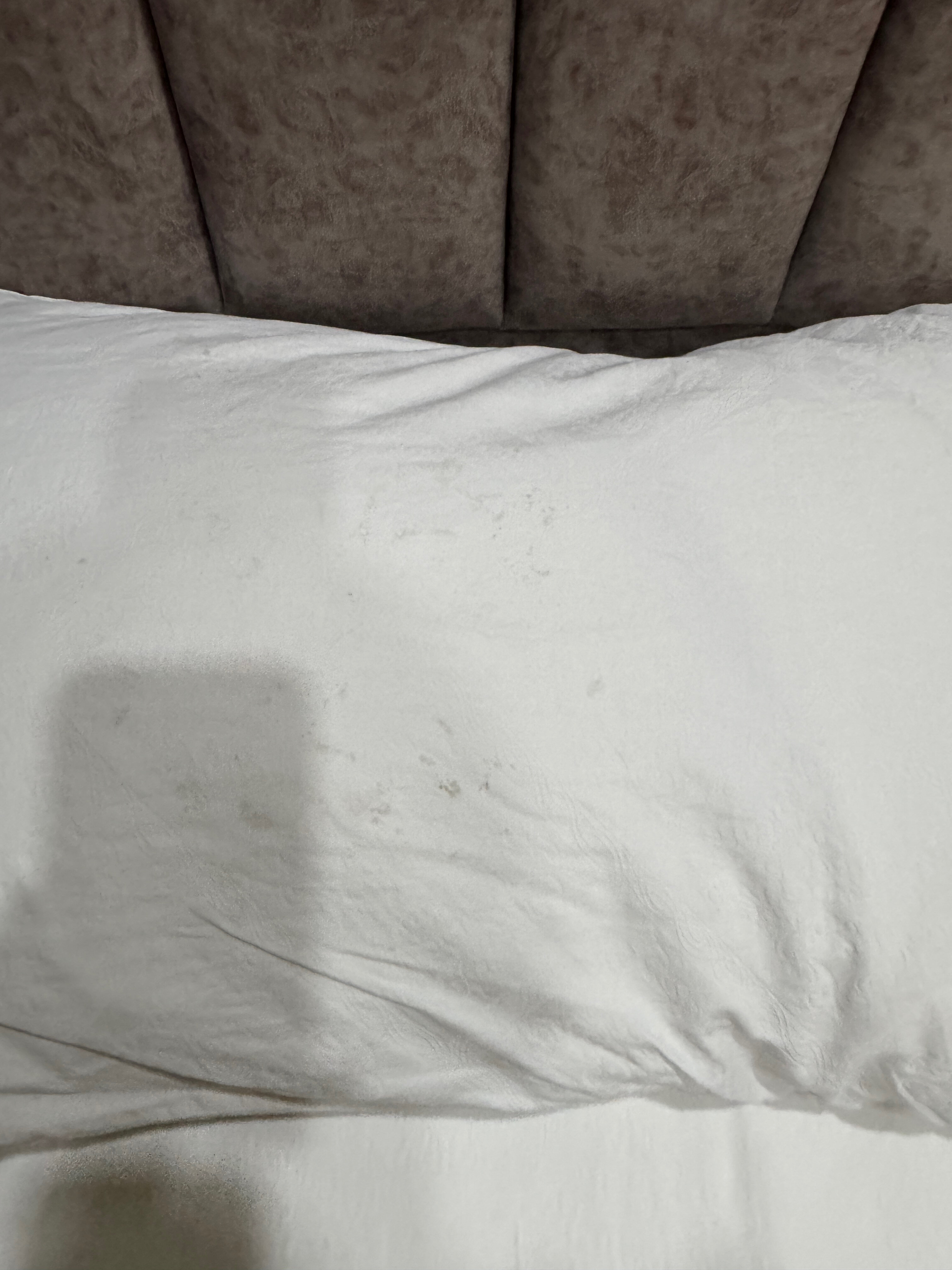 Фото Apple Hostel