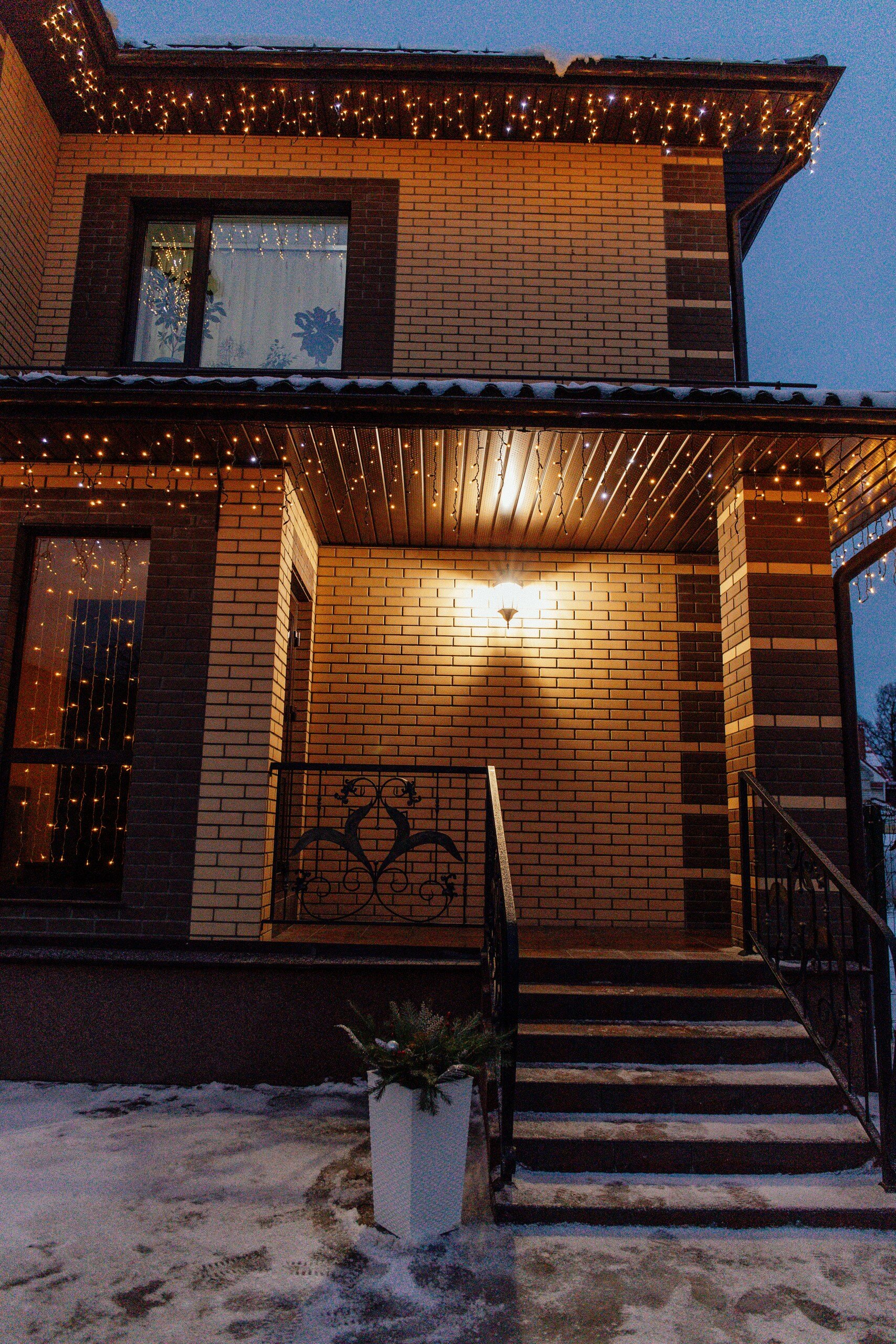 Фото Белый попугай