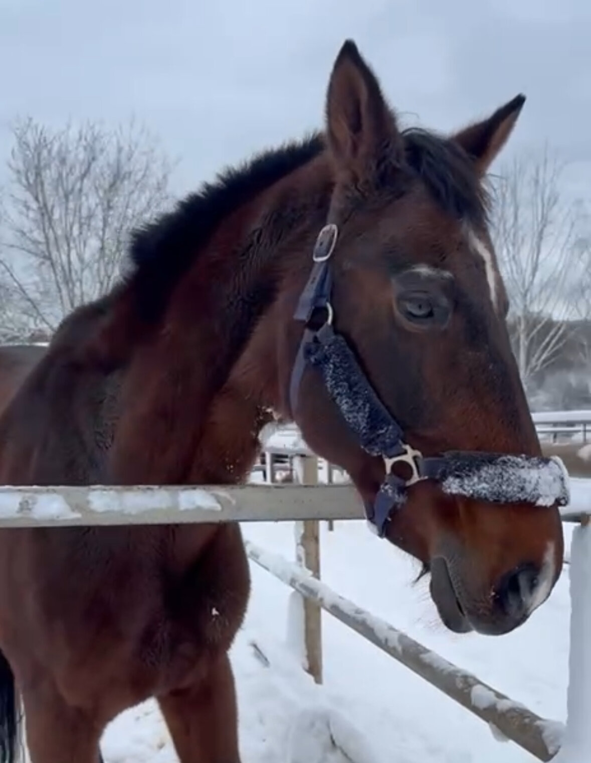 Фото Дом с характером