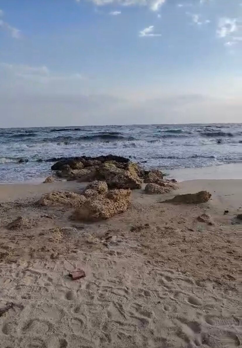 Фото Азовские жемчужины