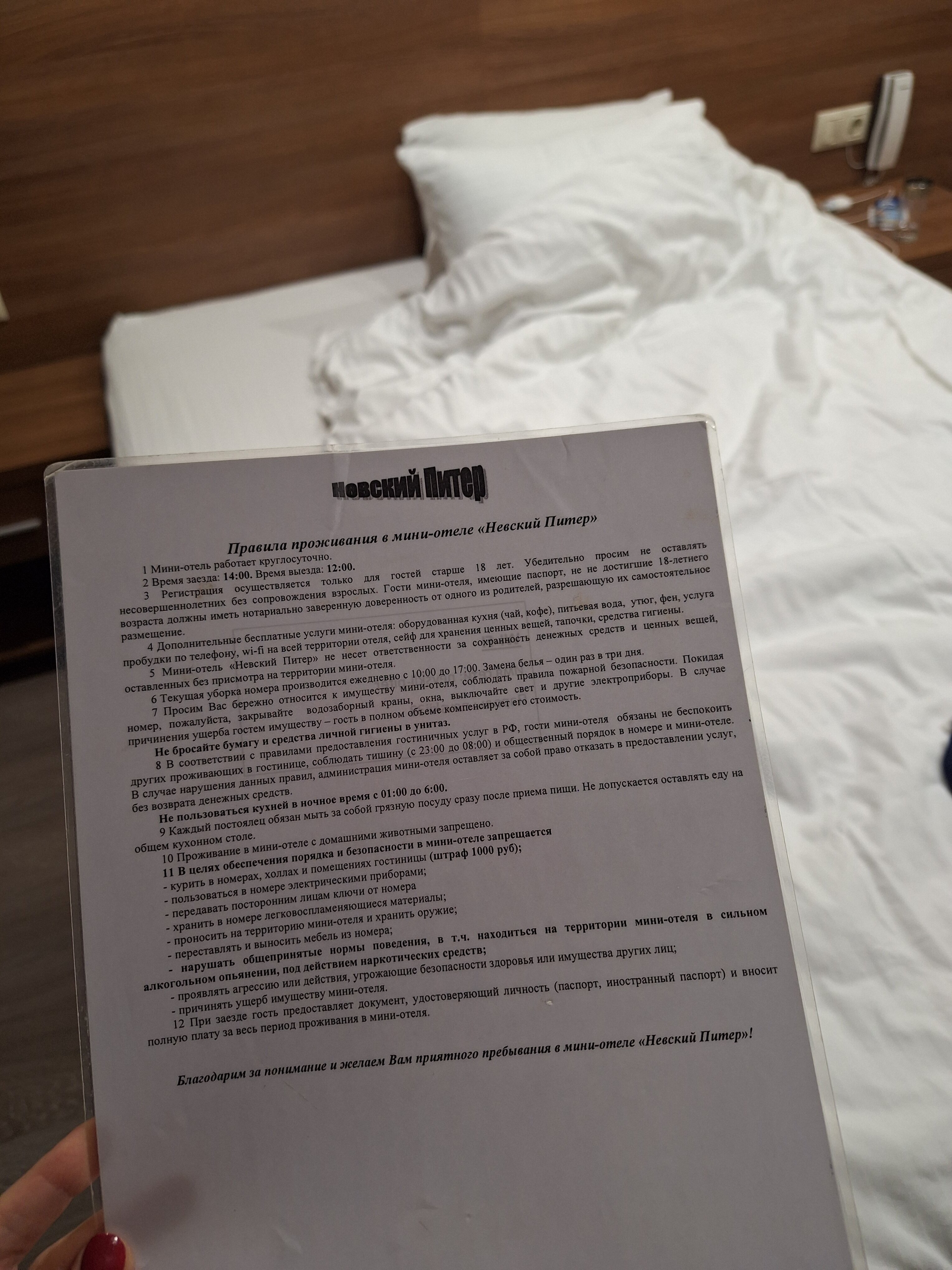 Фото Невский Питер