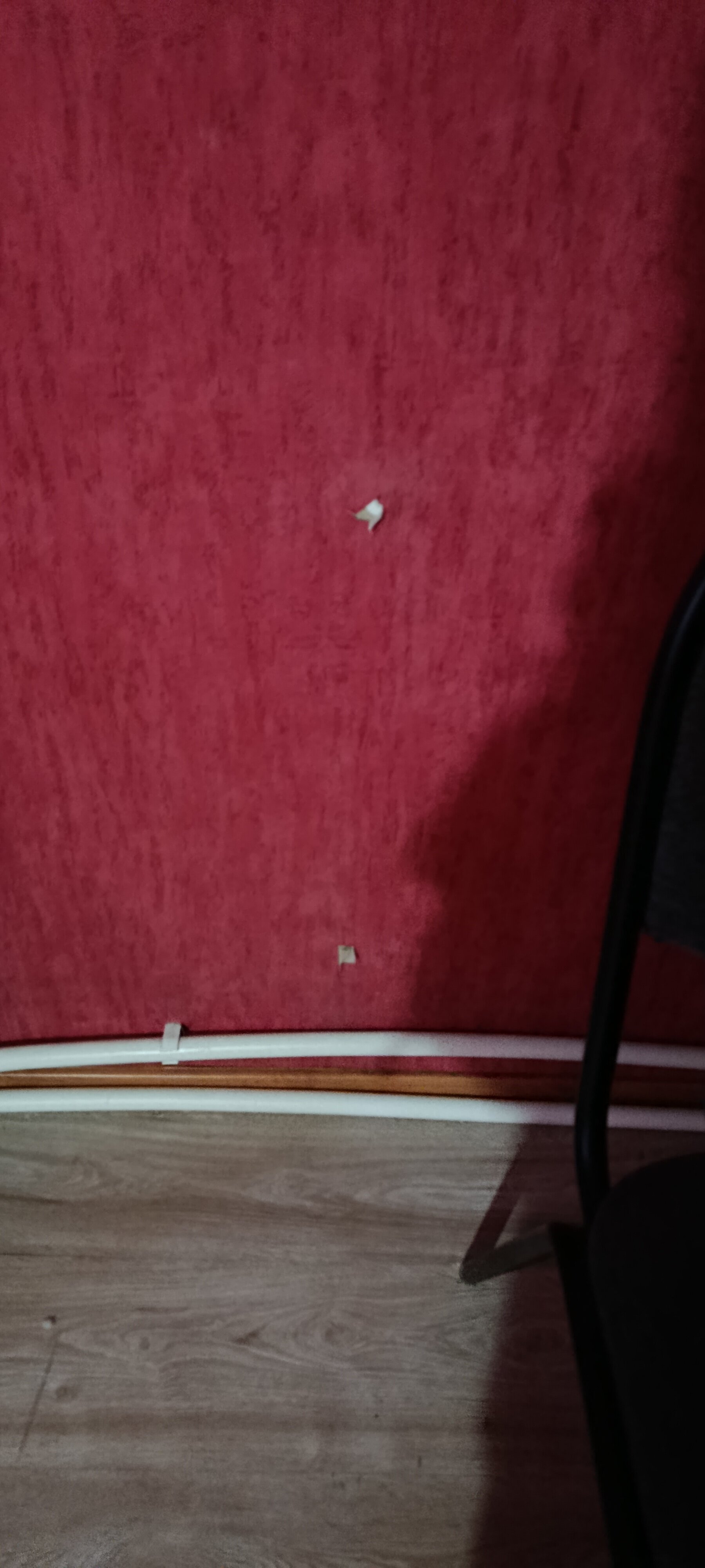 Фото Турист