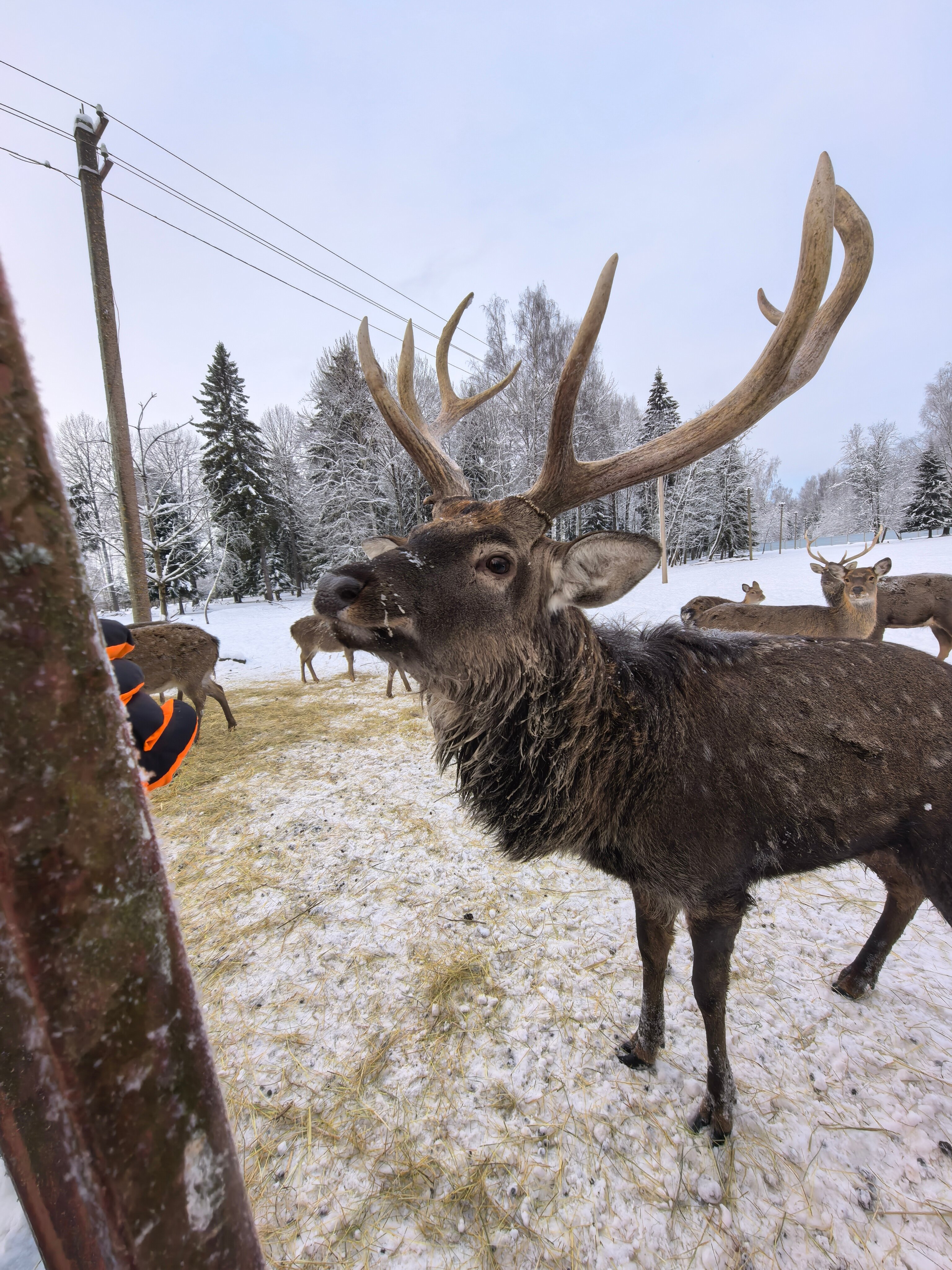 Фото Клевое место