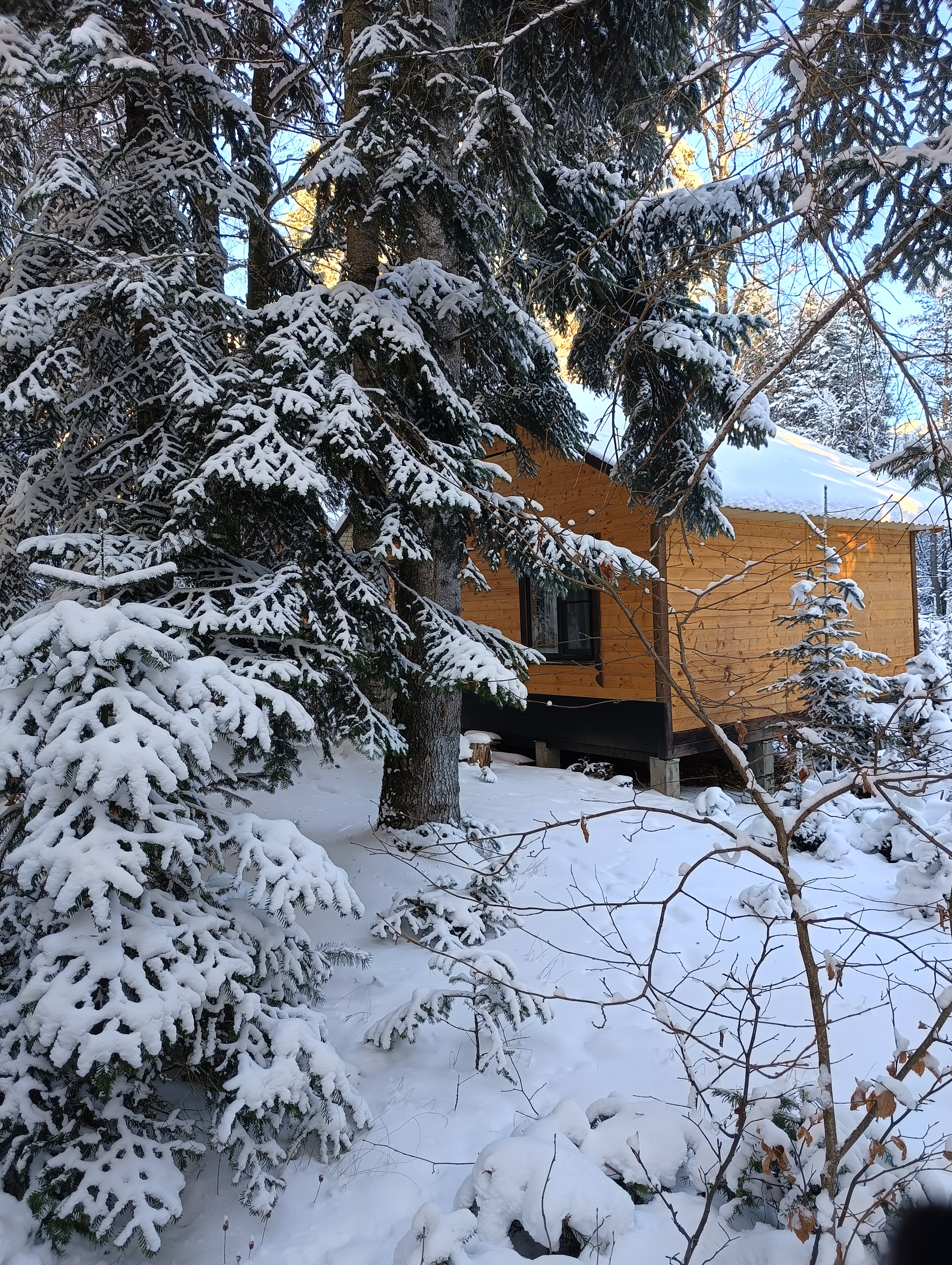 Фото Тур-домики Поляна Зубров
